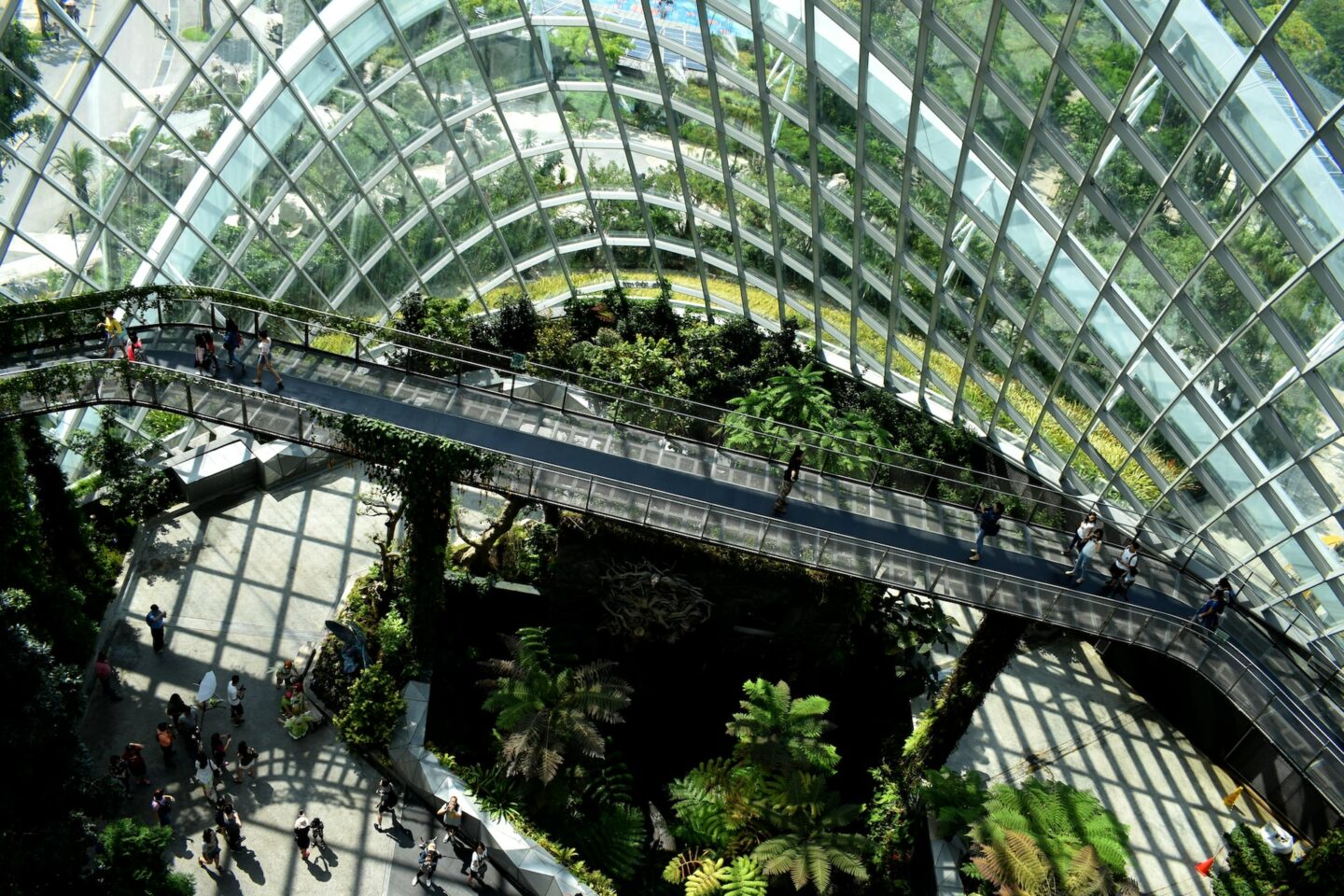 Architectural photo of glass building with dense foliage